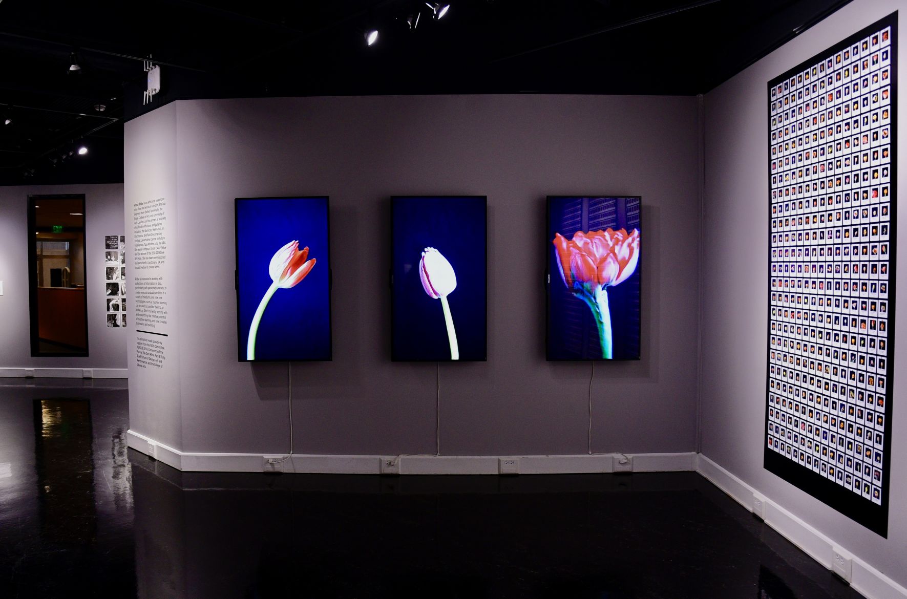 Dreaming, Animated by Anna Ridler 8/20/19